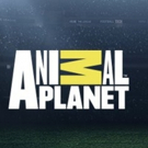 All-New Season of Hit Series TANKED Premieres On Animal Planet Today Photo