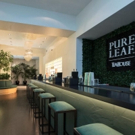 BWW Preview:  PURE LEAF TEA HOUSE in SoHo Presents a Total Tea Experience Video