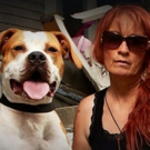 Popular Series PIT BULLS & PAROLEES Returns to Animal Planet, 8/26