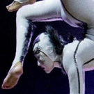 BWW Review: Cirque du Soleil Hatches Up OVO Video