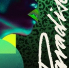 Jamie Jones Announces Paradise Parties Across ADE & North America
