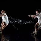 Dance Gallery Festival Returns For 11th Year; Lineup Announced Photo