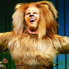 Photo Flash: MADAGASCAR �" A Musical Adventure Comes to Chicago Shakespeare Video