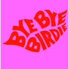 Lake Worth Playhouse Presents BYE BYE BIRDIE Next Month Photo