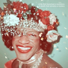 VIDEO: Netflix Debuts Trailer for THE DEATH AND LIFE OF MARSHA P. JOHNSON