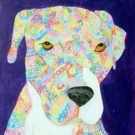 Maria Rachiele's DOODLE DOG PORTRAITS on View at King Center