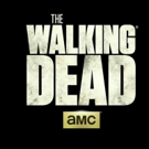 AMC Announces THE WALKING DEAD Multi-Weekend Marathon Starting 8/20 Video