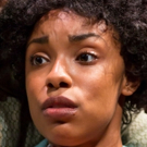 Photo Flash: A RAISIN IN THE SUN at Two River Theater Photo