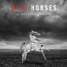 NNPN Announces Rolling World Premiere of WILD HORSES Video