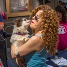 Bernadette Peters and Malcolm McDowell Host BROADWAY BARKS Today Video