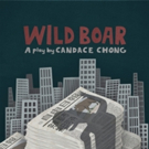 Silk Road Rising Presents the U.S. Premiere of Candace Chong's WILD BOAR Photo