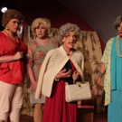 Hell in a Handbag's GOLDEN GIRLS - THE LOST EPISODES Extends at Mary's Attic Video