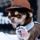Michael Cerveris Performs at Freddy's Bar Doggy Fashion Show After-Party Video