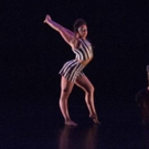 NO SHOW Wins Prestigious Herald Angel Award Photo