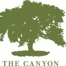 Concert Benefitting Rock to Recovery Presented by The Canyon at Peace Park Treatment Photo