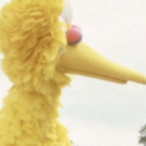 VTA's Family Flix Matinees are Back with FOLLOW THAT BIRD! Video