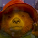 VIDEO: First Look at Highly-Anticipated Sequel PADDINGTON 2 Video