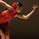 Ballet Hispanico to Offer Adult Classes in Caribbean Flow, Afro-Latin Jazz Fusion, an Video