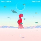 Dirty Heads Drop New Album 'Swim Team' via Five Seven Music Photo