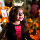 Dia de los Muertos, Light Up the Holidays and More Set for Grand Park's 5th Anniversa Video
