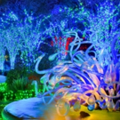 Tickets on Sale This Weekend for 'GARDEN LIGHTS' at the Botanical Garden