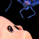 BWW Feature: CHARLOTTE'S WEB at Center For Puppetry Arts Photo