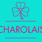 Ireland's Fishamble Returns to 59E59 Theaters with CHAROLAIS Tonight