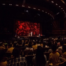 The Lion King Presents Special Charity Show in Shanghai Disney