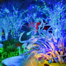 Tickets on Sale October 1st for GARDEN LIGHTS, HOLIDAY NIGHTS