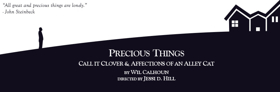 New Brooklyn Theatre to Present PRECIOUS THINGS Image