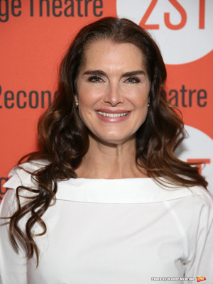 Brooke Shields Among Second Stage Theater's New Trustees Image