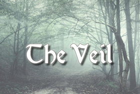Conor McPherson's THE VEIL Opens Next Month at Town Players Image
