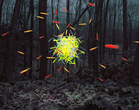 Cynthia-Reeves Announces Thomas Jackso Artist Reception Image