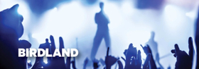New Theatre Presents the Sydney Premiere of Simon Stephens' BIRDLAND Image