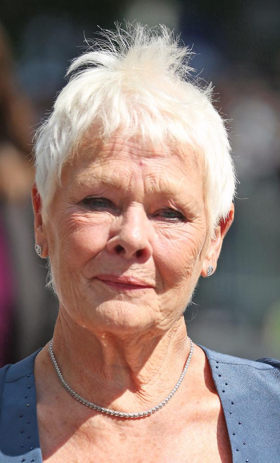 Dame Judi Dench Reveals She's Relieved She Couldn't Appear in CATS Image