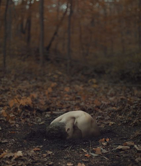 Photo credit: Kyle Thompson Photography