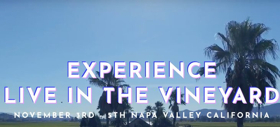Sara Evans & More Join Line Up for Live In The Vineyard Adds Artists This November Image