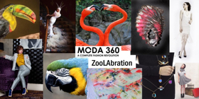 MODA 360 Event to Spotlight Sustainability, Benefit LA Zoo Conservation Programs Image