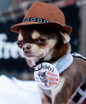 Michael Cerveris Performs at Freddy's Bar Doggy Fashion Show After-Party Image