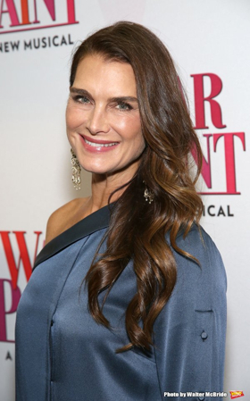 Brooke Shields, Susan Lucci, Orfeh, and More Set for CELEBRITY AUTOBIOGRAPHY Image