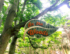 Festival Watch: A Weekend at Latitude 2017 Image