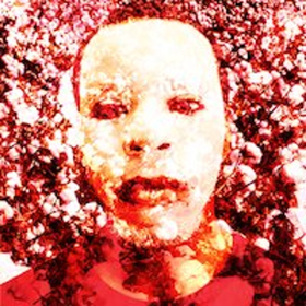 BWW Previews: AN OCTOROON at Area Stage Company Image