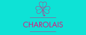 Ireland's Fishamble to Return to 59E59 Theaters with CHAROLAIS Image