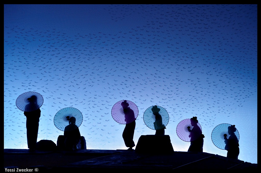 Review: MADAMA BUTTERFLY at The Israeli Opera Image