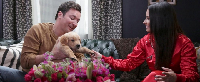 VIDEO: Demi Lovato & Jimmy Fallon Have Lip Sync Conversation Video