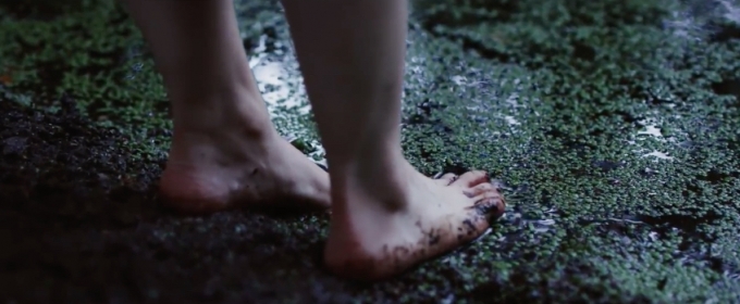 VIDEO: Watch a New Trailer for DESIRE UNDER THE ELMS at Sheffield Video