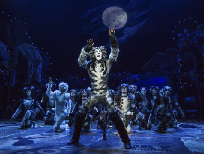 CATS Dances Into Stockholm This Fall! Image