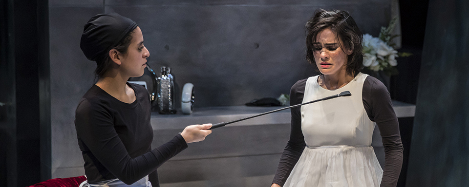 Review Roundup: THE MAIDS at American Players Theatre Image