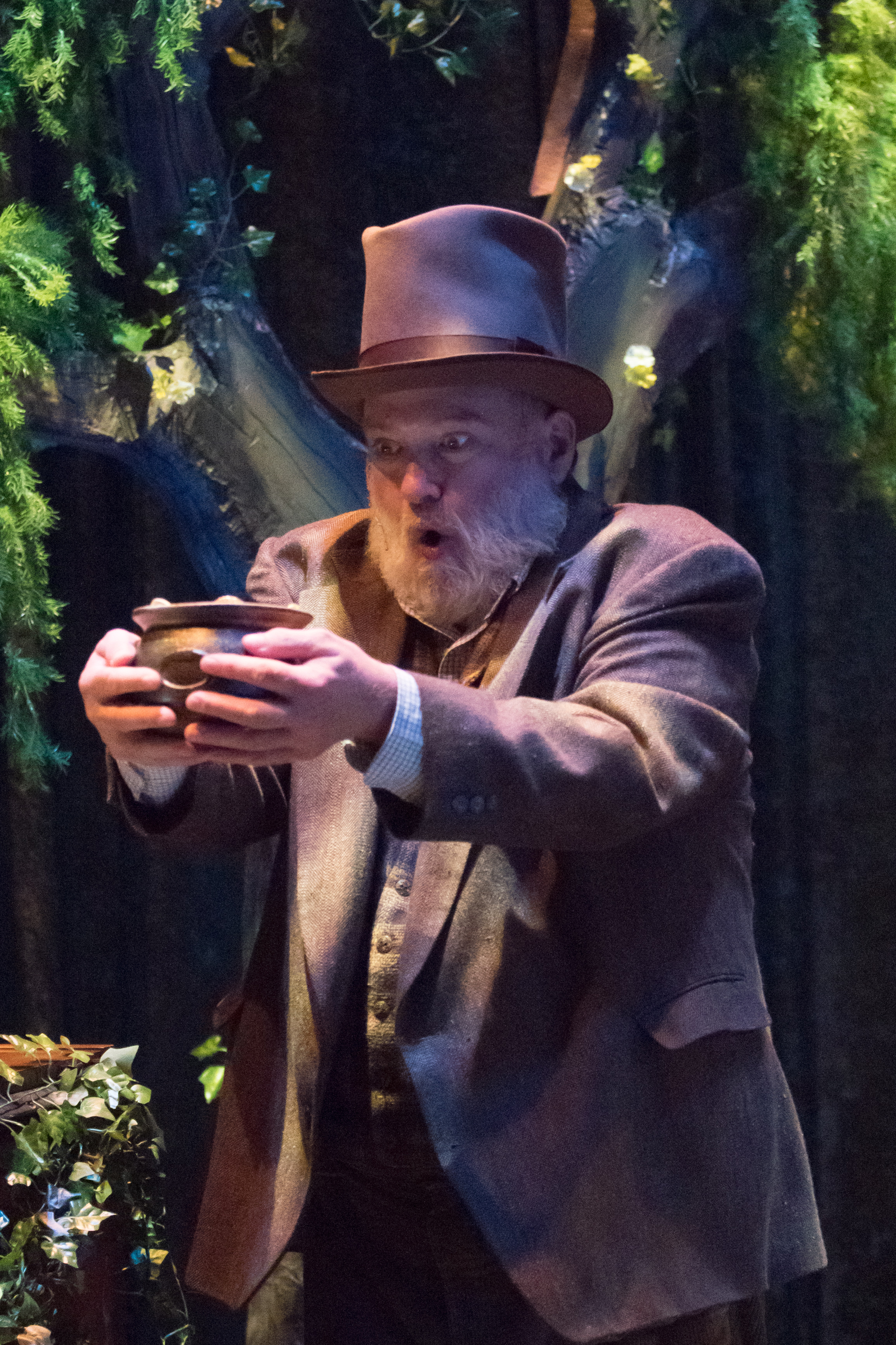Review: FINIAN'S RAINBOW at Spinning Tree Theatre Image