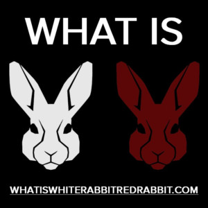 Denver Theatre Company Goes Down the Rabbit Hole in WHITE RABBIT RED RABBIT Image